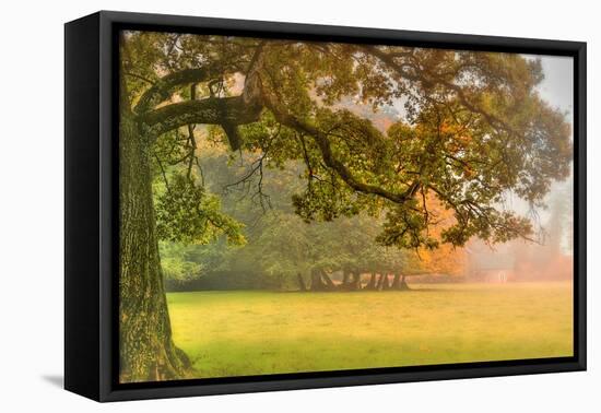 Foliage-Viviane Fedieu Daniel-Framed Premier Image Canvas