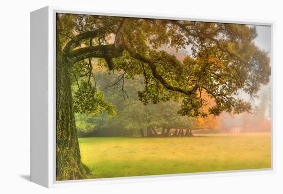 Foliage-Viviane Fedieu Daniel-Framed Premier Image Canvas