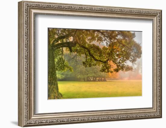 Foliage-Viviane Fedieu Daniel-Framed Photographic Print