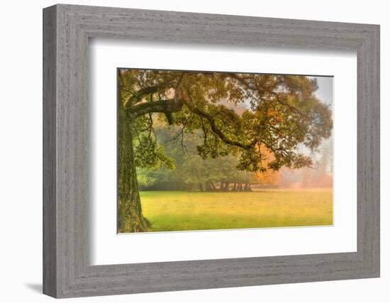 Foliage-Viviane Fedieu Daniel-Framed Photographic Print