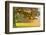 Foliage-Viviane Fedieu Daniel-Framed Photographic Print