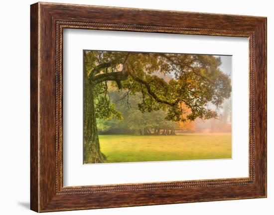 Foliage-Viviane Fedieu Daniel-Framed Photographic Print