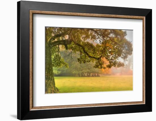 Foliage-Viviane Fedieu Daniel-Framed Photographic Print