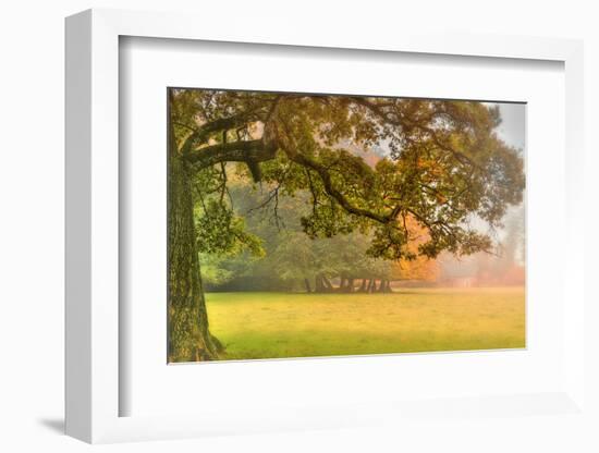 Foliage-Viviane Fedieu Daniel-Framed Photographic Print