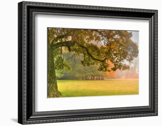 Foliage-Viviane Fedieu Daniel-Framed Photographic Print