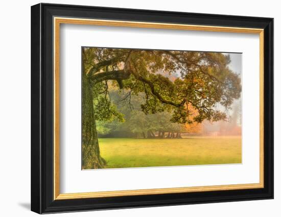 Foliage-Viviane Fedieu Daniel-Framed Photographic Print