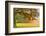 Foliage-Viviane Fedieu Daniel-Framed Photographic Print