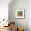 Foliage-Annelein Beukenkamp-Framed Giclee Print displayed on a wall