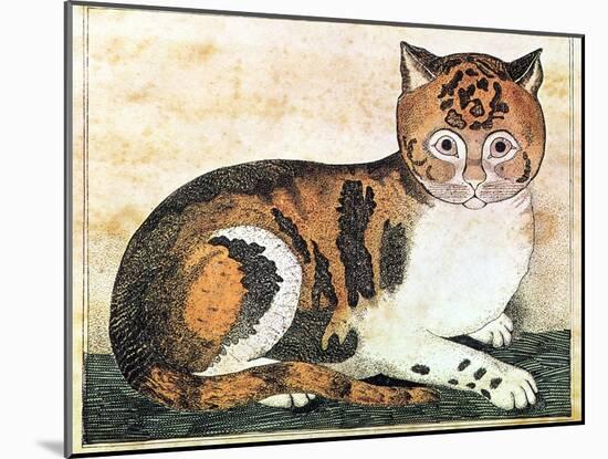 Folk Art: Cat-George White-Mounted Giclee Print
