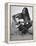 Folk Singer Joan Baez Strumming Her Guitar on the Beach Near Her Home-Ralph Crane-Framed Premier Image Canvas