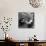 Folk Singer Woody Guthrie Palying His Guitar While Getting a Shoeshine-null-Mounted Premium Photographic Print displayed on a wall