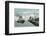 Folkestone (Boulogne Boat leaving), c1905-Unknown-Framed Photographic Print