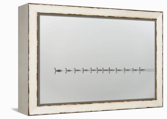 Follow Me-Nick Kalathas-Framed Premier Image Canvas