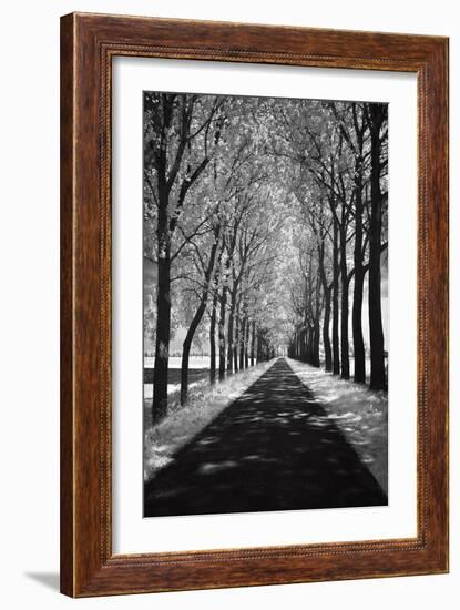 Follow Me-Ily Szilagyi-Framed Art Print