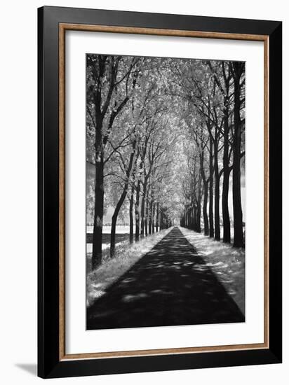 Follow Me-Ily Szilagyi-Framed Art Print