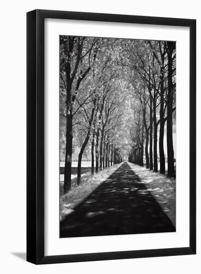 Follow Me-Ily Szilagyi-Framed Art Print