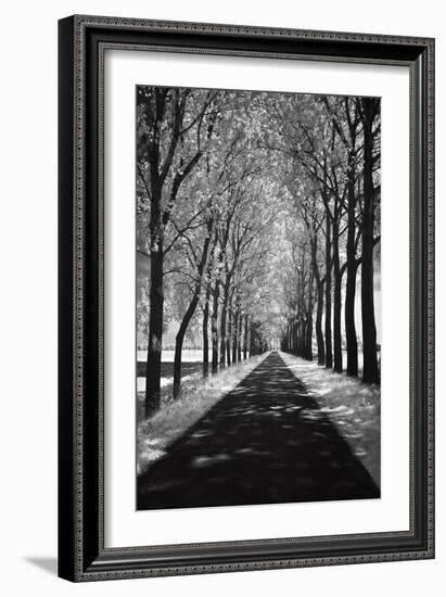 Follow Me-Ily Szilagyi-Framed Art Print