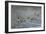 Follow Me-Bruce Dumas-Framed Giclee Print