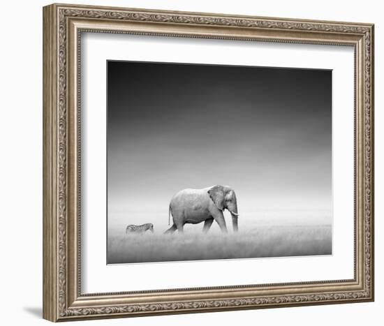 Follow the Leader-Gerhardus-Framed Art Print