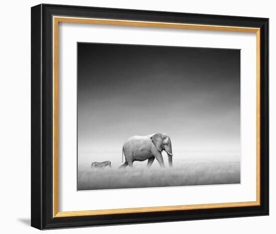 Follow the Leader-Gerhardus-Framed Art Print