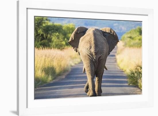 Follow the Leader-null-Framed Giclee Print