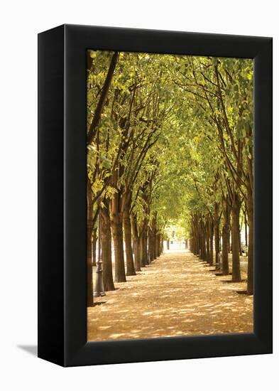 Follow the Path I-Karyn Millet-Framed Premier Image Canvas