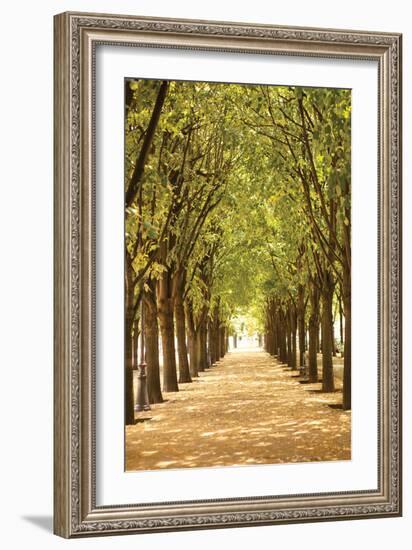 Follow the Path I-Karyn Millet-Framed Photographic Print