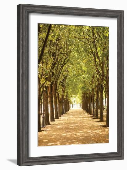 Follow the Path I-Karyn Millet-Framed Photographic Print