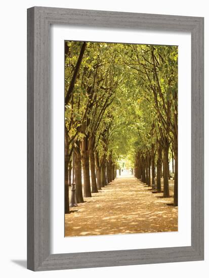 Follow the Path I-Karyn Millet-Framed Photographic Print