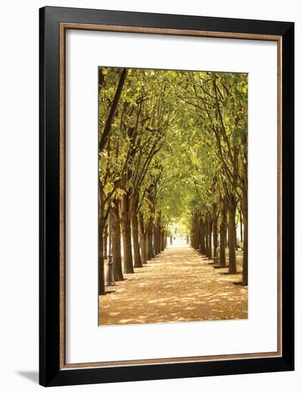 Follow the Path I-Karyn Millet-Framed Photographic Print