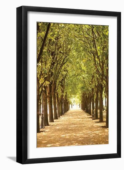 Follow the Path I-Karyn Millet-Framed Photographic Print