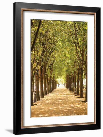 Follow the Path I-Karyn Millet-Framed Photographic Print