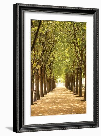 Follow the Path I-Karyn Millet-Framed Photographic Print