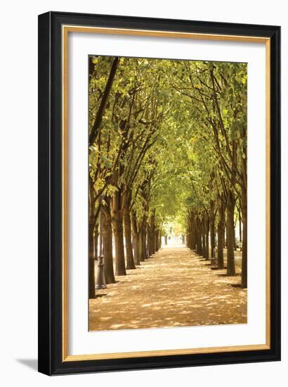 Follow the Path I-Karyn Millet-Framed Photographic Print