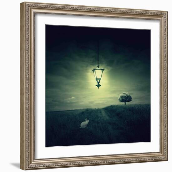 Follow the White Rabbit-Philippe Sainte-Laudy-Framed Photographic Print