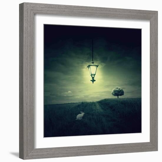 Follow the White Rabbit-Philippe Sainte-Laudy-Framed Photographic Print