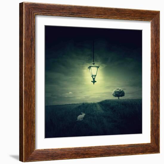 Follow the White Rabbit-Philippe Sainte-Laudy-Framed Photographic Print