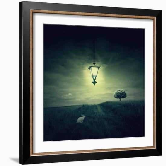 Follow the White Rabbit-Philippe Sainte-Laudy-Framed Photographic Print