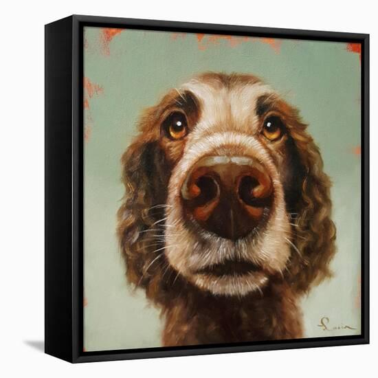 Follow Your Nose 14-Lucia Heffernan-Framed Stretched Canvas