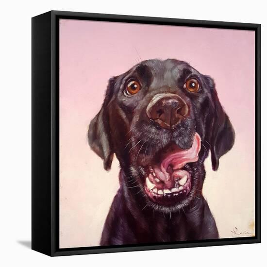 Follow Your Nose 7-Lucia Heffernan-Framed Stretched Canvas