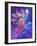 Follow Your Shining Star-Judy Mastrangelo-Framed Giclee Print