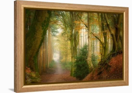 Following Fog-Ellen Borggreve-Framed Premier Image Canvas