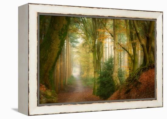 Following Fog-Ellen Borggreve-Framed Premier Image Canvas