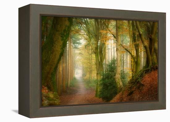 Following Fog-Ellen Borggreve-Framed Premier Image Canvas