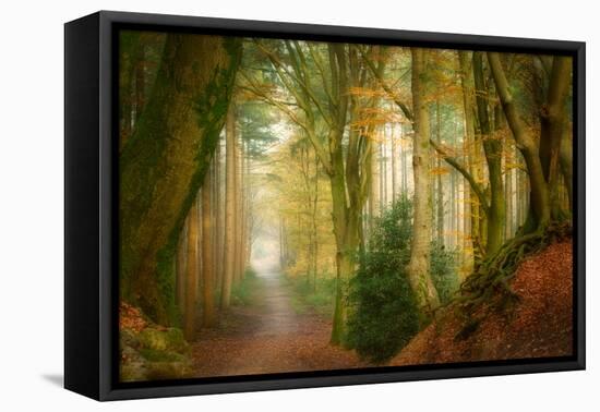 Following Fog-Ellen Borggreve-Framed Premier Image Canvas