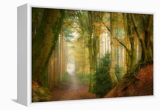 Following Fog-Ellen Borggreve-Framed Premier Image Canvas