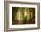 Following Fog-Ellen Borggreve-Framed Photographic Print