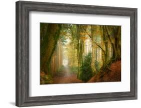 Following Fog-Ellen Borggreve-Framed Photographic Print