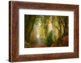 Following Fog-Ellen Borggreve-Framed Photographic Print
