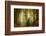 Following Fog-Ellen Borggreve-Framed Photographic Print